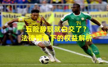 五险辞职就白交了?法律视角下的权益解析