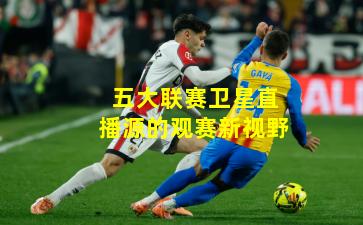 五大联赛卫星直播源的观赛新视野