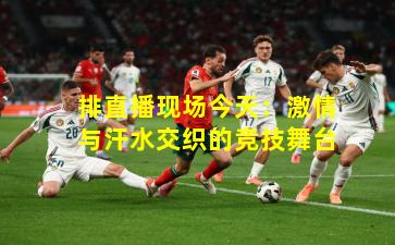 排直播现场今天：激情与汗水交织的竞技舞台