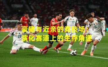 豪猪与近亲的竞技场：演化赛道上的生存角逐