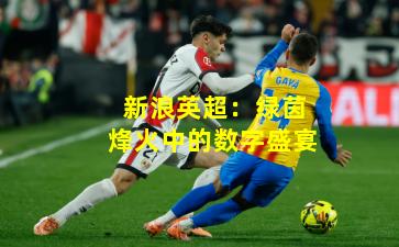 新浪英超:绿茵烽火中的数字盛宴