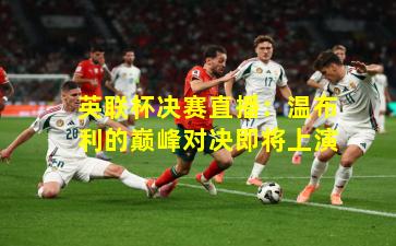 英联杯决赛直播:温布利的巅峰对决即将上演