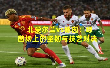 北爱尔兰vs德国：绿茵场上的坚韧与技艺对决